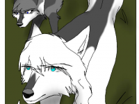 Превью выпуска №62