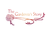 Превью выпуска №8