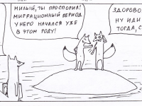 Превью выпуска №6