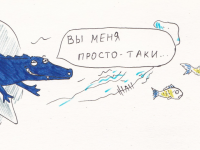 Превью выпуска №81