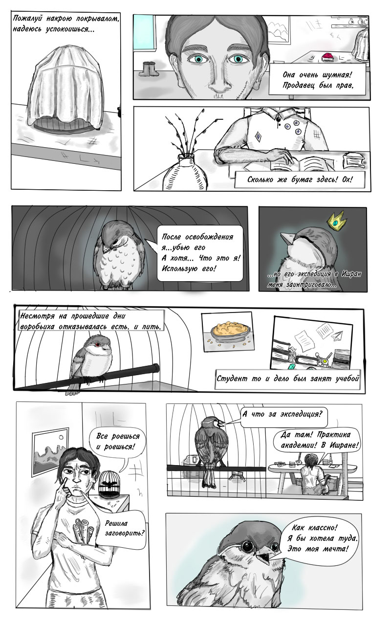 Комикс Принцесса и Воробей — The Princess and the Sparrow: выпуск №5