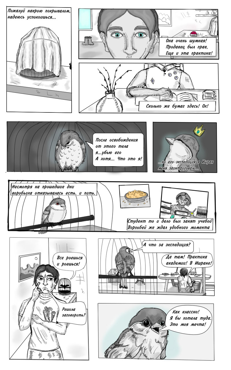 Комикс Принцесса и Воробей — The Princess and the Sparrow: выпуск №5