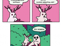 Превью выпуска №12