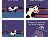 Превью выпуска №41