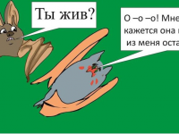 Превью выпуска №5