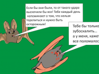 Превью выпуска №6