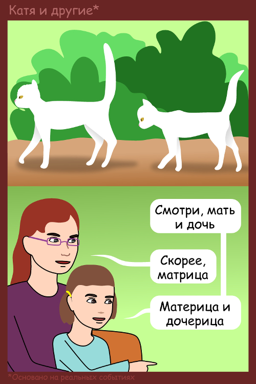 Матрица