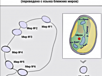 Превью выпуска №70