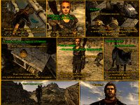 Превью выпуска №9