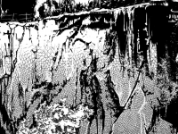 Превью выпуска №17