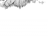 Превью выпуска №7