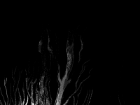 Превью выпуска №36