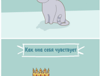 Превью выпуска №3