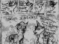 Превью выпуска №5