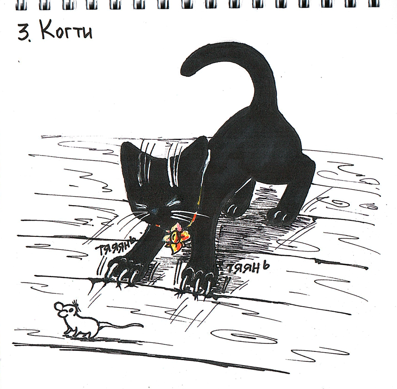 Когти