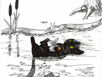 Превью выпуска №64