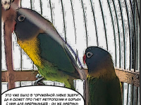 Превью выпуска №15