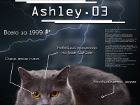 Превью выпуска №20