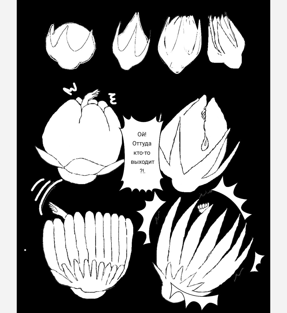 Комикс Дунне. Краткая история появления мира: выпуск №6