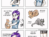 Превью выпуска №12