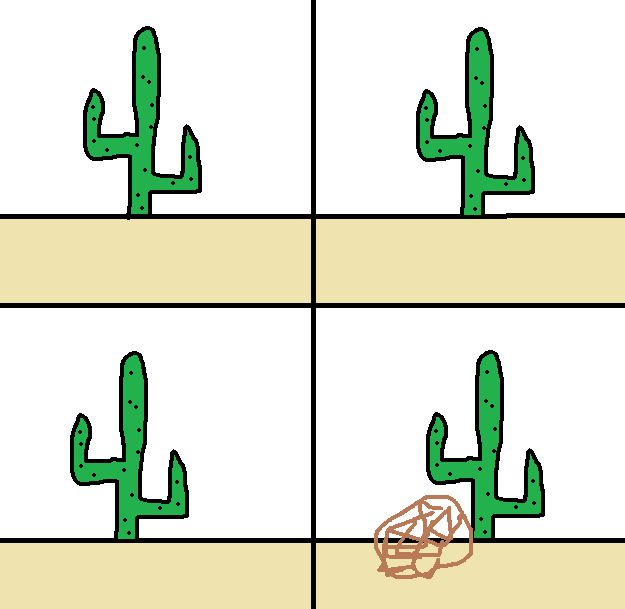 История одного кактуса