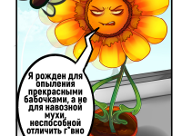 Превью выпуска №7