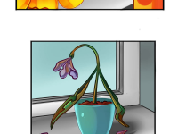 Превью выпуска №10