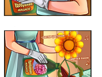 Превью выпуска №11