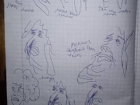 Превью выпуска №21