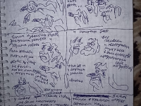 Превью выпуска №5