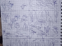 Превью выпуска №37