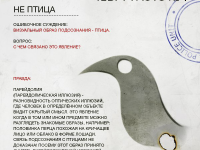 Превью выпуска №131