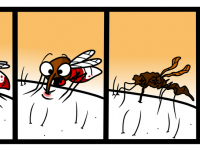 Превью выпуска №9