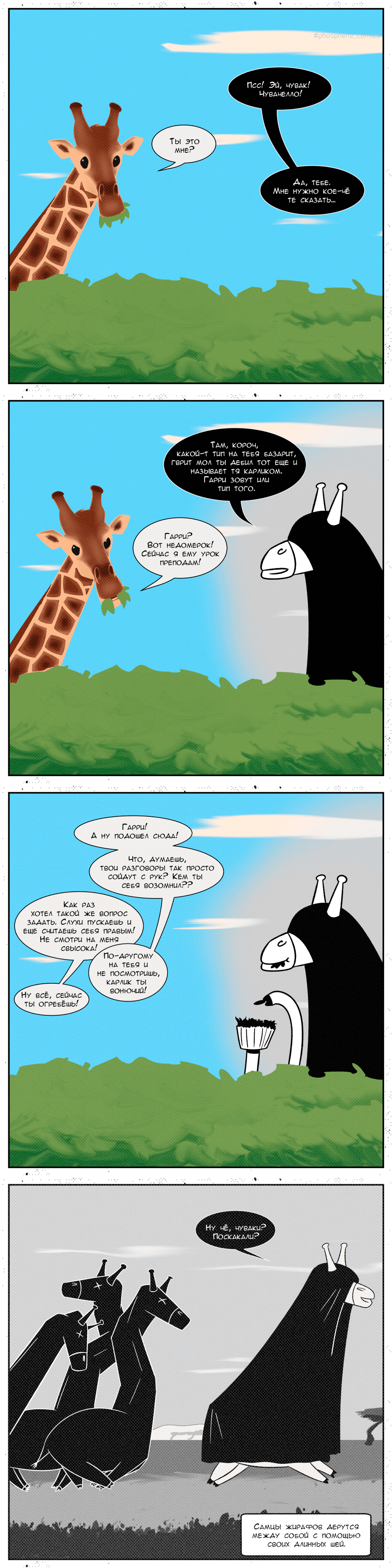 Экстра выпуск. Жирафы