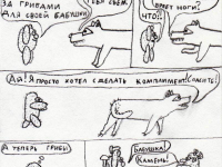 Превью выпуска №13