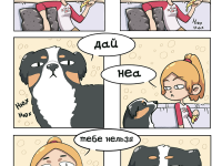 Превью выпуска №2