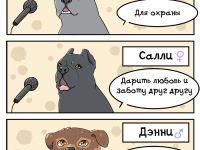 Превью выпуска №3