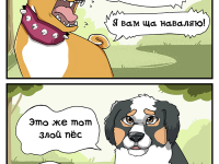 Превью выпуска №6