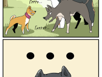 Превью выпуска №8