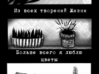 Превью выпуска №1