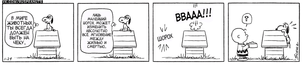 1962/01/29