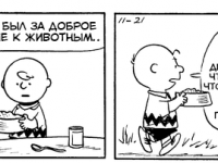 Превью выпуска №3273