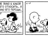 Превью выпуска №3468