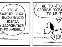 Превью выпуска №3508