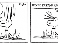 Превью выпуска №3525