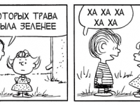Превью выпуска №3552