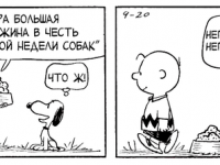 Превью выпуска №3577