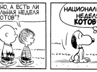 Превью выпуска №3578
