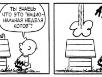 Превью выпуска №3624