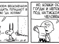 Превью выпуска №3626